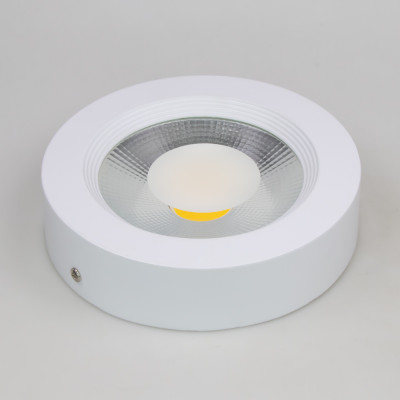 #21081 vz93_k_2024-01