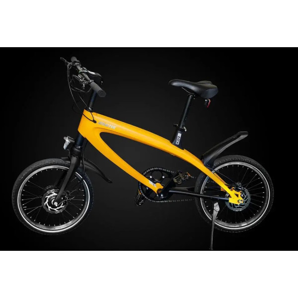 BICYKEL E-BIKE - 240W_45km/h_120kg_4 stupne rýchlosti