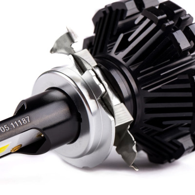 #10540 012051_Patica