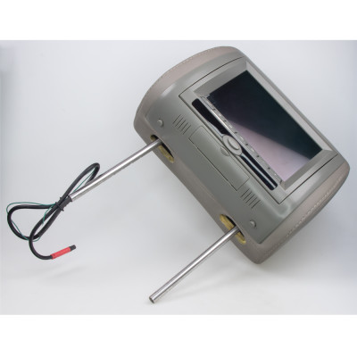 #29309 vz112_ic_2024-01